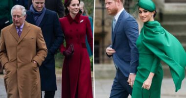 Meghan Markle and Prince Harry's secret plot to make up with the royal family named 'Project Thaw'