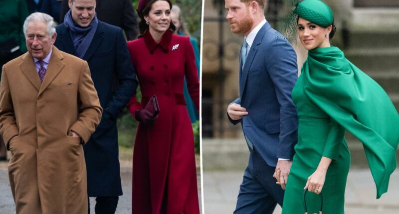 Meghan Markle and Prince Harry's secret plot to make up with the royal family named 'Project Thaw'