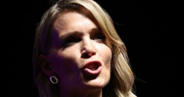 Megyn Kelly's takedown of liberal student