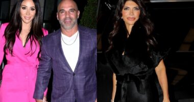 Melissa Gorga Breaks Silence on Teresa Reaching Out to Joe Amid Family Feud, Reveals If She