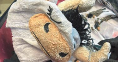 Meth-covered cow onesie in luggage smuggler hears fate
