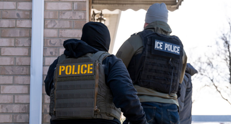 Mexican gangs offering up to $50K bounties for ICE agent assassinations in US, DHS says