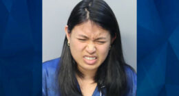 Miami Woman Stabs Teen Sister After Girl Caught Her Going Through Her Cellphone