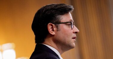 Mike Johnson calls Obamacare funds a 'boondoggle' as shutdown drags on