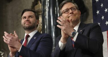 Mike Johnson is a great cheerleader for Trump, but a horrible Speaker 