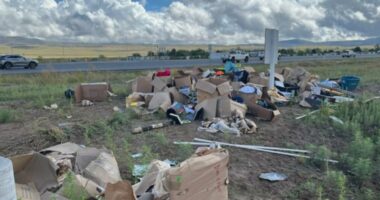 Military family moving to Jacksonville loses belongings in Arizona truck crash
