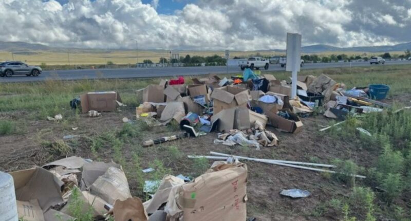 Military family moving to Jacksonville loses belongings in Arizona truck crash
