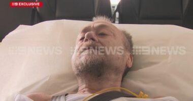 Missing camper tells of miracle rescue after nine-day ordeal