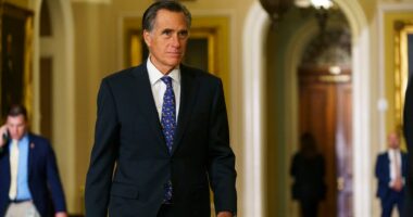 Mitt Romney's sister-in-law falls to her death in Southern California parking garage