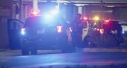 Mitt Romney's sister-in-law found dead on street near California shopping mall
