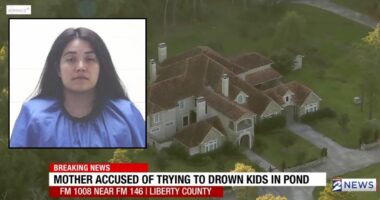 Mom charged after trying to drown her 3 children: Police