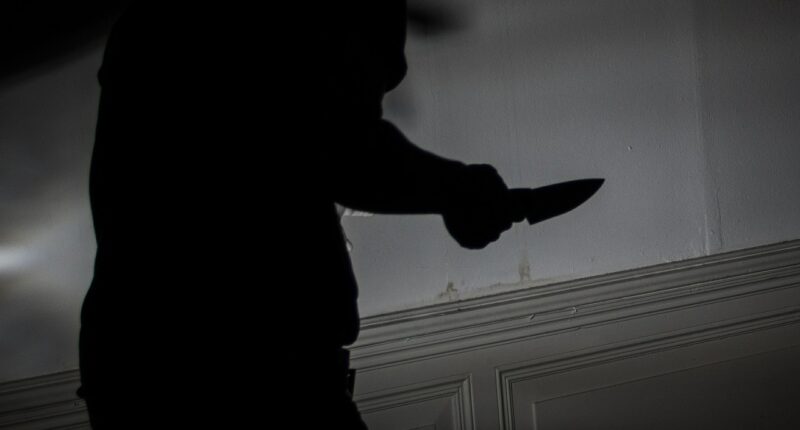 Mom ‘Sacrificed’ Autistic 4-Year-Old Son for ‘Licking Countertops & Jumping Around’