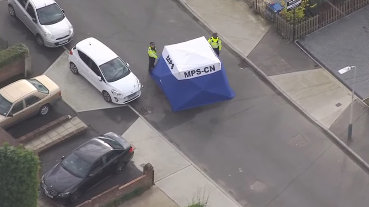 Moment police Taser and arrest Afghan national after triple stabbing which left dog walker, 49, dead when he 'tried to break up fight and was slashed across the neck'