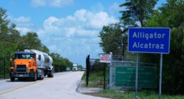 More immigration detentions, more deaths in custody from overcrowding