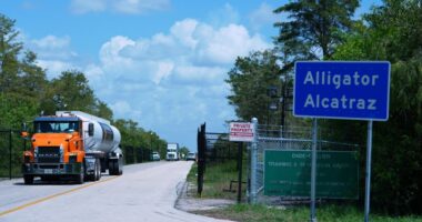 More immigration detentions, more deaths in custody from overcrowding