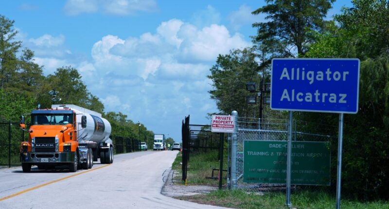 More immigration detentions, more deaths in custody from overcrowding
