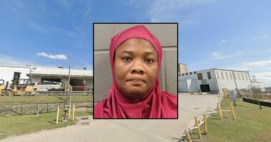 Mother left girl, 9, in hot car during entire work day: Cops