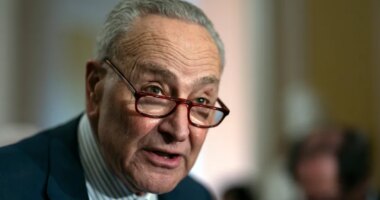 NRSC uses AI video of Schumer to slam Dems over shutdown