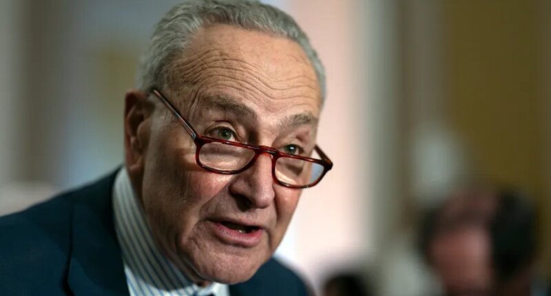 NRSC uses AI video of Schumer to slam Dems over shutdown