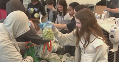 NYC nonprofits brace for impact as SNAP benefits face shutdown