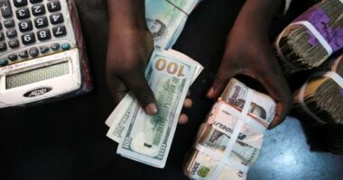 Naira to Dollar rate today, October 24, as naira weakens at black market