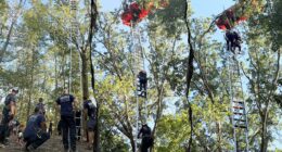 Nashville skydiving instructor dead after falling without parachute