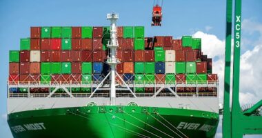 Nations meet to consider regulations to drive a green transition in shipping