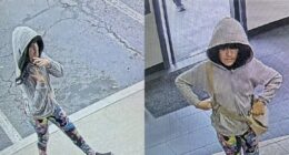 New Photo: Melodee Buzzard Seen Wearing a Wig as Search for Missing 9-Year-Old Continues