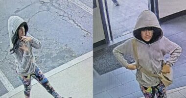 New Photo: Melodee Buzzard Seen Wearing a Wig as Search for Missing 9-Year-Old Continues