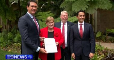 New laws to give Queensland parents access to child sex offender registry