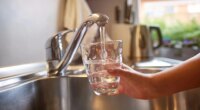 New study detects levels of ‘forever chemicals’ exceeding EPA limit at USF