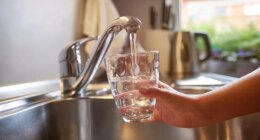 New study detects levels of ‘forever chemicals’ exceeding EPA limit at USF