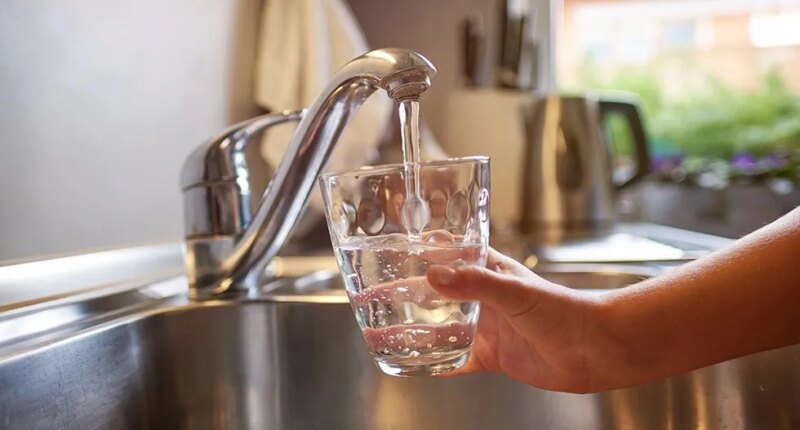 New study detects levels of ‘forever chemicals’ exceeding EPA limit at USF