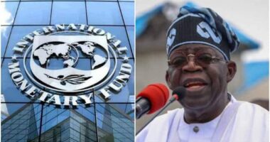 Nigeria not among Africa