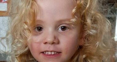 Missing four-year-old Gus