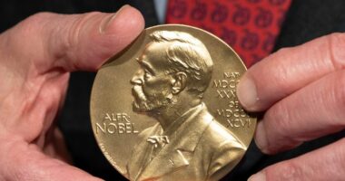 Nobel Prize in medicine goes to 3 scientists for work on peripheral immune tolerance