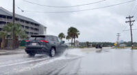 Nor'easter to batter East Coast with heavy rain, strong winds: What you need to know about the forest