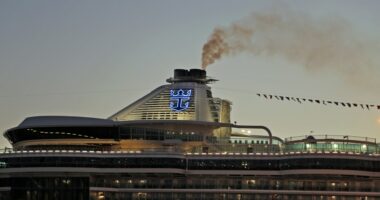 Norovirus outbreak on Royal Caribbean cruise sickens over 70 passengers