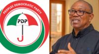 Obi dismisses fears of Nigeria becoming a one-party state