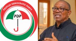 Obi dismisses fears of Nigeria becoming a one-party state