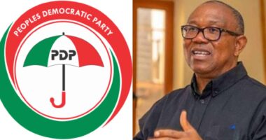Obi dismisses fears of Nigeria becoming a one-party state