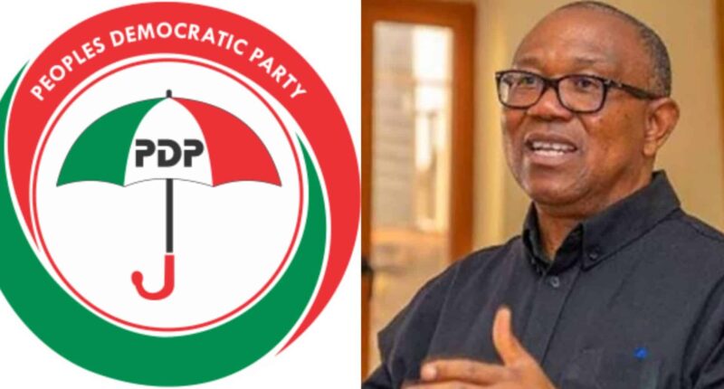 Obi dismisses fears of Nigeria becoming a one-party state