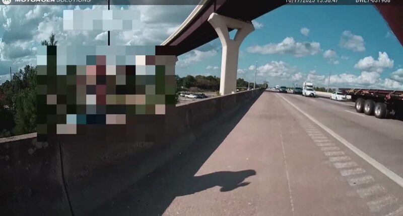 Officer's swift actions save 11-year-old during mental health crisis on interstate overpass