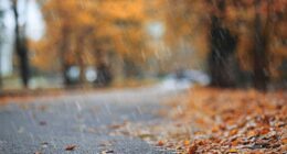 Old Farmer's Almanac Thanksgiving forecast: East stays dry,West gets drenched