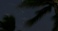 Orionids: When to watch the meteor shower stemming from Halley's Comet