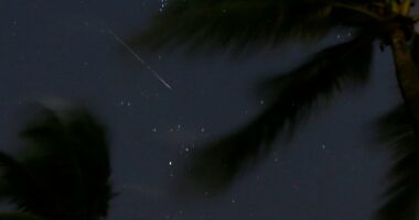 Orionids: When to watch the meteor shower stemming from Halley's Comet