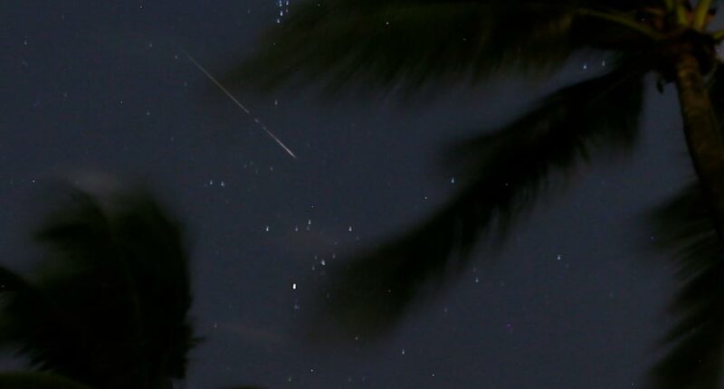 Orionids: When to watch the meteor shower stemming from Halley's Comet