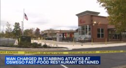 Oswego, IL Chick-fil-A: Darryl Lee Jr., 19, charged with murder in stabbing, attack at restaurant on Route 34 held in custody