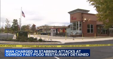 Oswego, IL Chick-fil-A: Darryl Lee Jr., 19, charged with murder in stabbing, attack at restaurant on Route 34 held in custody