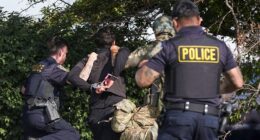 Over a dozen arrested at anti-ICE protests in Chicago suburb